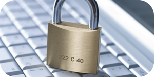 300h150_v_GBNT_Kadri_Agro_Keativi_14